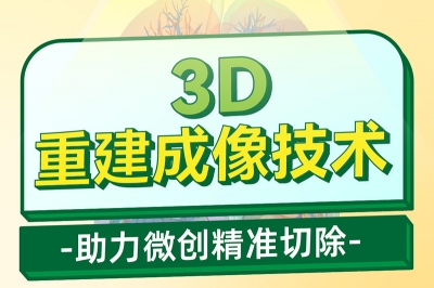 肺结节小剧场 vol10 ｜3D重建成像技术——助力微创精准切除