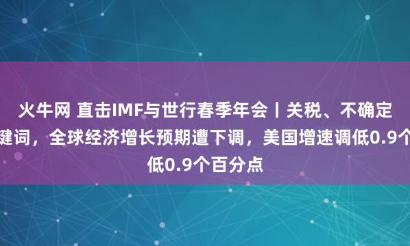 火牛网 直击IMF与世行春季年会丨关税、不确定性成关键词，全球经济增长预期遭下调，美国增速调低0.9个百分点