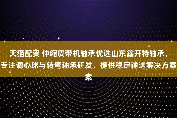 天猫配资 伸缩皮带机轴承优选山东鑫开特轴承，专注调心球与转弯轴承研发，提供稳定输送解决方案