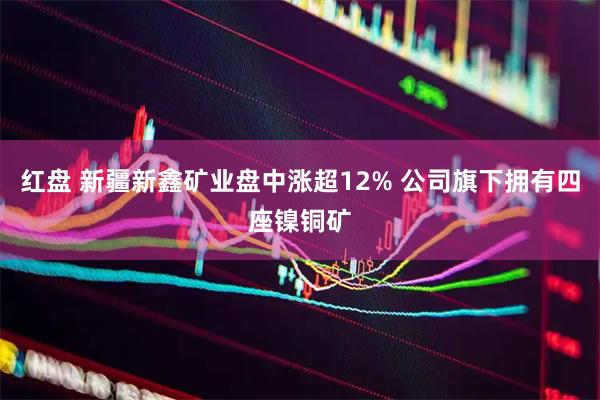 红盘 新疆新鑫矿业盘中涨超12% 公司旗下拥有四座镍铜矿
