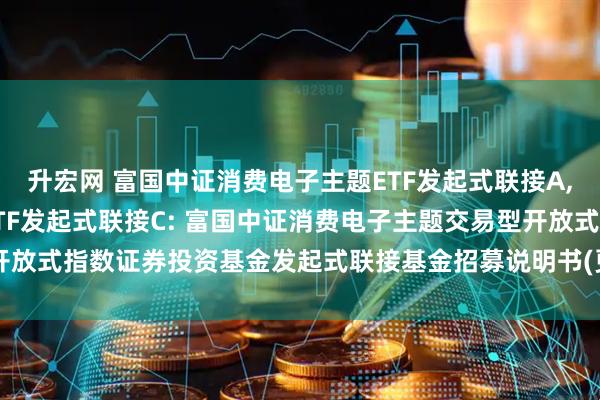 升宏网 富国中证消费电子主题ETF发起式联接A,富国中证消费电子主题ETF发起式联接C: 富国中证消费电子主题交易型开放式指数证券投资基金发起式联接基金招募说明书(更新)(二0二五年第一号)