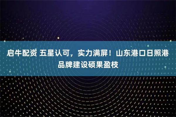 启牛配资 五星认可，实力满屏！山东港口日照港品牌建设硕果盈枝