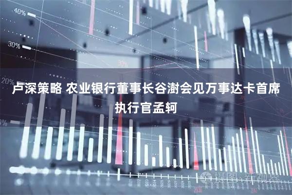 卢深策略 农业银行董事长谷澍会见万事达卡首席执行官孟轲